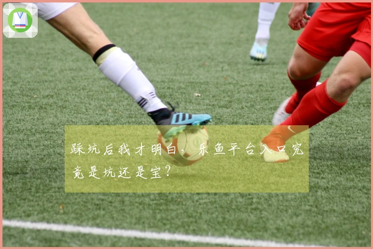 踩坑后我才明白，乐鱼平台入口究竟是坑还是宝？