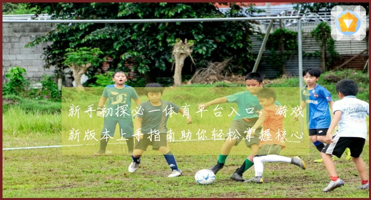 新手初探必一体育平台入口，游戏新版本上手指南助你轻松掌握核心玩法