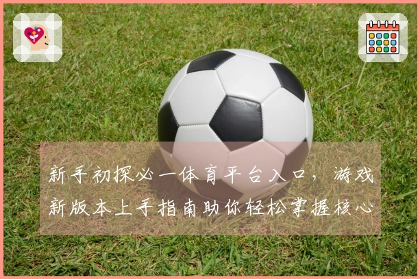 新手初探必一体育平台入口，游戏新版本上手指南助你轻松掌握核心玩法