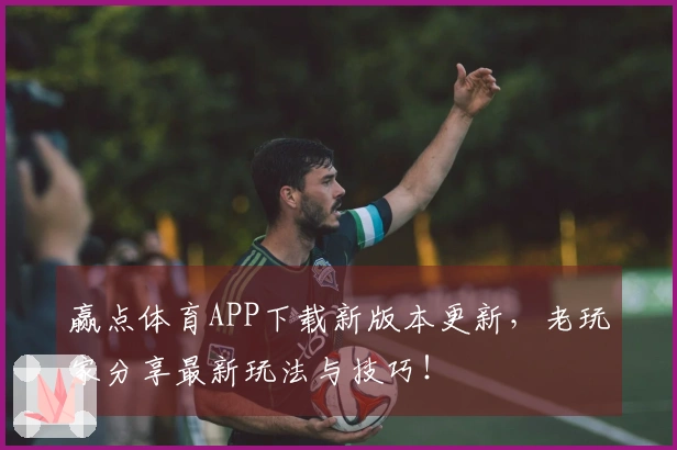 赢点体育APP下载新版本更新，老玩家分享最新玩法与技巧！