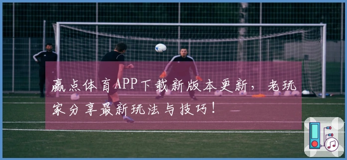 赢点体育APP下载新版本更新，老玩家分享最新玩法与技巧！